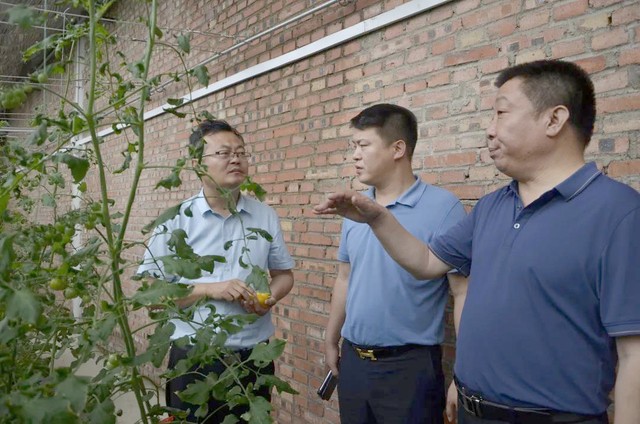 微信图片_20210703181352.jpg 微信图片_20210703181352.jpg