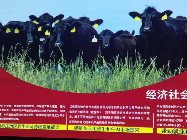 21070383.png 21070383.png