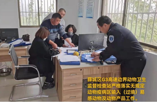 枣庄薛城稿件20211118551.png 枣庄薛城稿件20211118551.png