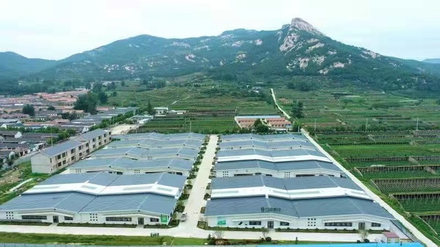 20211206130000_5382.jpg 20211206130000_5382.jpg