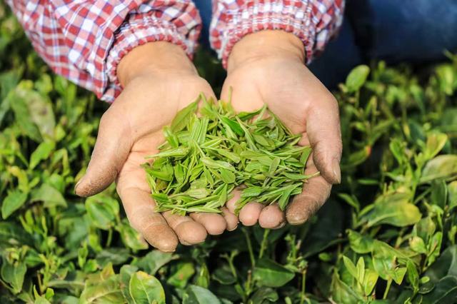 20211206130000_6766.jpg 20211206130000_6766.jpg