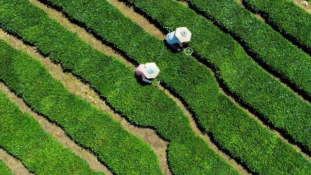 微信图片_20220211175018.jpg 微信图片_20220211175018.jpg