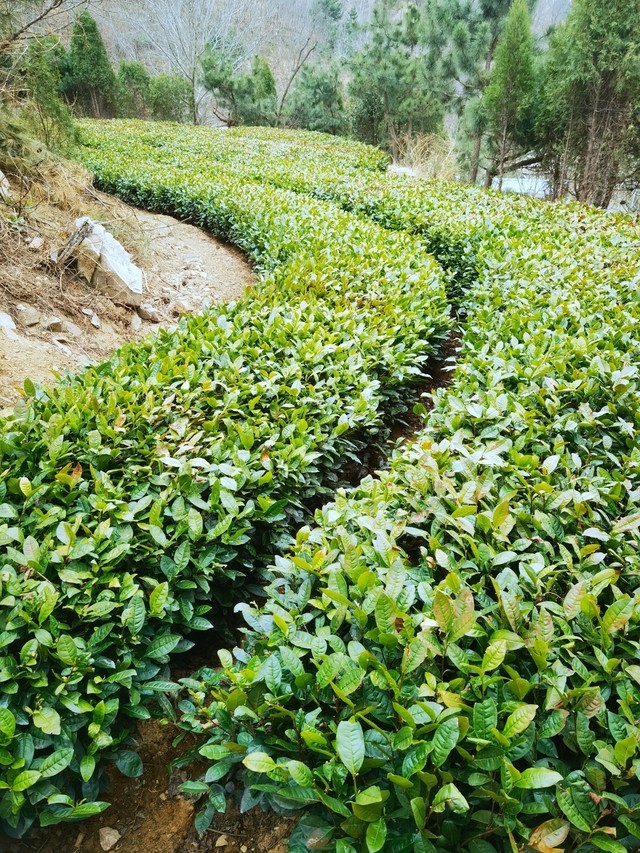 623eed649e70a703fc63b0cc.jpg 623eed649e70a703fc63b0cc.jpg