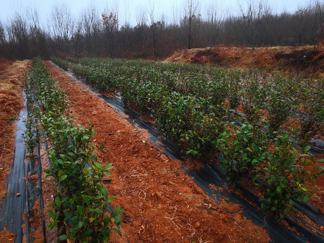 623eed649e70a703fc63b0cd.jpg 623eed649e70a703fc63b0cd.jpg