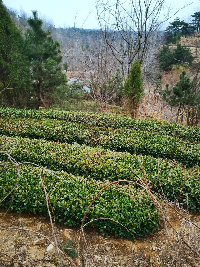 623eed649e70a70418c0dd61.jpg 623eed649e70a70418c0dd61.jpg