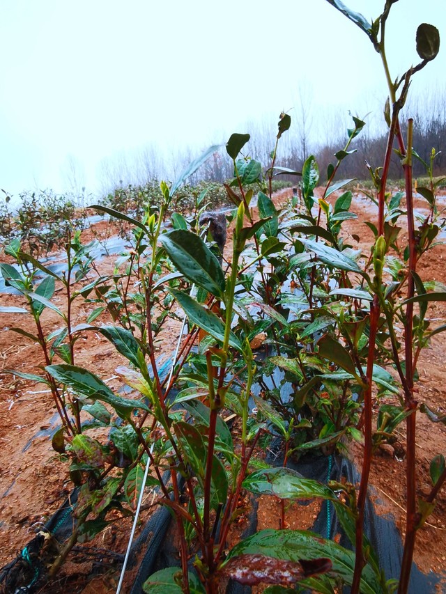 623eed829e70a70418c0dd62.jpg 623eed829e70a70418c0dd62.jpg