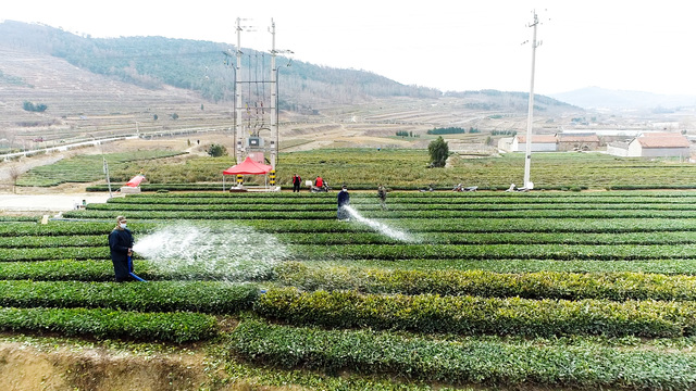 微信图片_20220402105040.png 微信图片_20220402105040.png