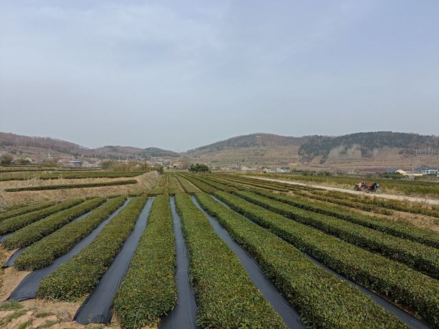 微信图片_20220402105035.jpg 微信图片_20220402105035.jpg