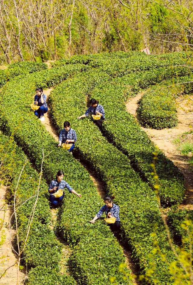 微信图片_20220417102350.jpg 微信图片_20220417102350.jpg