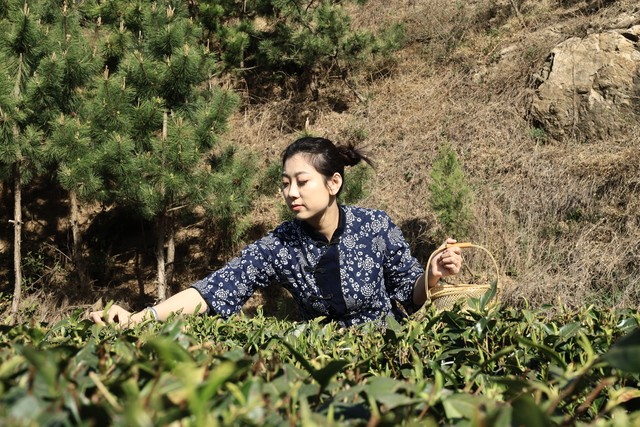 微信图片_20220417102402.jpg 微信图片_20220417102402.jpg