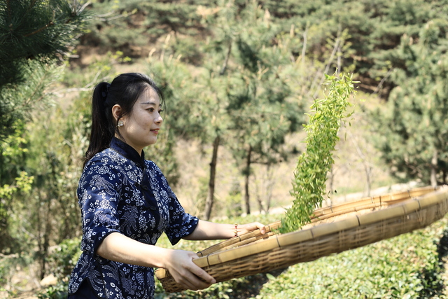 微信图片_20220417102409.jpg 微信图片_20220417102409.jpg