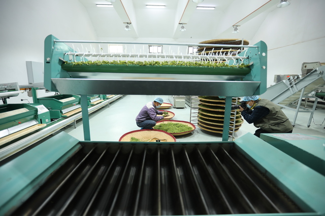 微信图片_20220417102433.jpg 微信图片_20220417102433.jpg