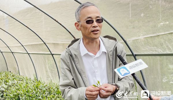 d2655be6-6d22-47d8-9017-7ab9a1f58ee6.jpeg d2655be6-6d22-47d8-9017-7ab9a1f58ee6.jpeg