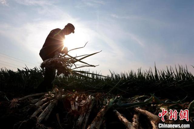 9e40263f-1cc2-4659-8e5b-d39a13f4a37b_zsite.jpg 9e40263f-1cc2-4659-8e5b-d39a13f4a37b_zsite.jpg