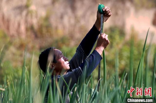 0ebcc4ebf2c644259703d37a03d70205.jpg 0ebcc4ebf2c644259703d37a03d70205.jpg