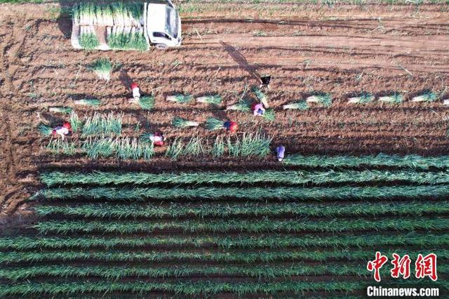 a1c99932-0c51-4be5-b2a5-78a54df00b4a_zsite.jpg a1c99932-0c51-4be5-b2a5-78a54df00b4a_zsite.jpg