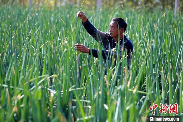 63d6d763-f1b0-4117-ac3e-6da7cda376c7_zsite.jpg 63d6d763-f1b0-4117-ac3e-6da7cda376c7_zsite.jpg