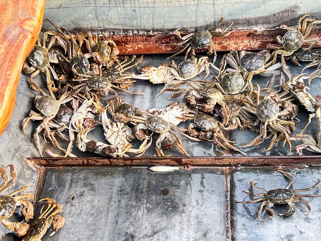 微信图片_20221117101430.jpg 微信图片_20221117101430.jpg