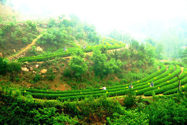 微信图片_20220218163739.jpg 微信图片_20220218163739.jpg