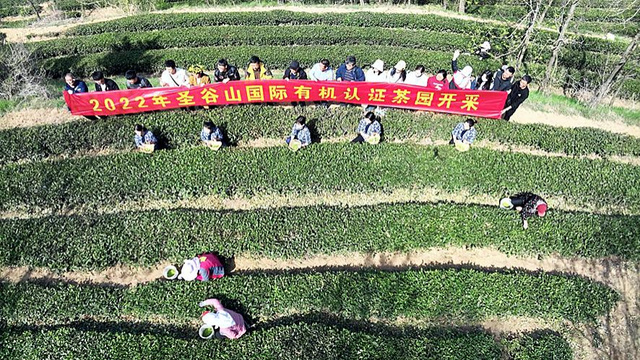 20220419184722298.png 20220419184722298.png