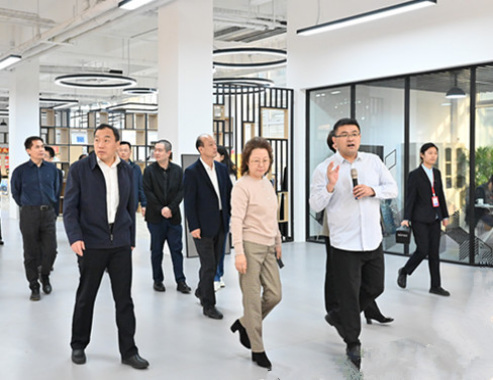 国家市场监管总局核查组莅临河东开展全国网络市场监管与服务示范区评估认定实地核查498.png 国家市场监管总局核查组莅临河东开展全国网络市场监管与服务示范区评估认定实地核查498.png