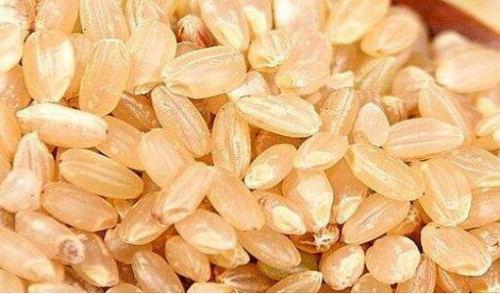 腾跃大米飘香中国好餐饮第四届博览会542.png 腾跃大米飘香中国好餐饮第四届博览会542.png