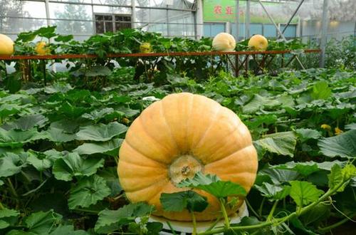 1129541198_16819575229191n.jpg 1129541198_16819575229191n.jpg