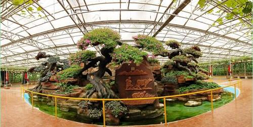 1129541198_16819575229201n.jpg 1129541198_16819575229201n.jpg