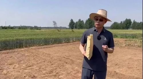 640 (2).jpg 640 (2).jpg