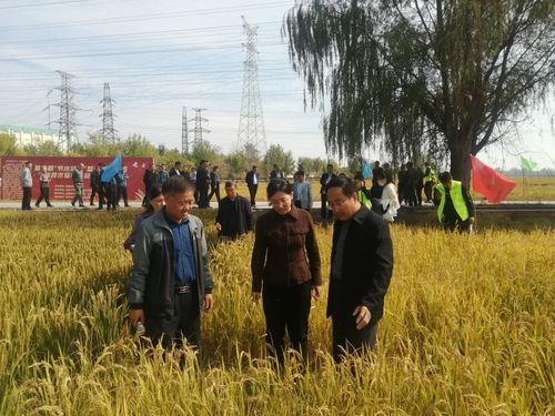 640 (4).jpg 640 (4).jpg