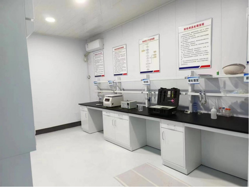 升级农贸小市场 保障民生大工程457.png