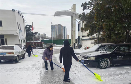 临沂市河东区市场监督管理局迎寒而上,干部职工自发组织扫雪活动174.png 临沂市河东区市场监督管理局迎寒而上,干部职工自发组织扫雪活动174.png