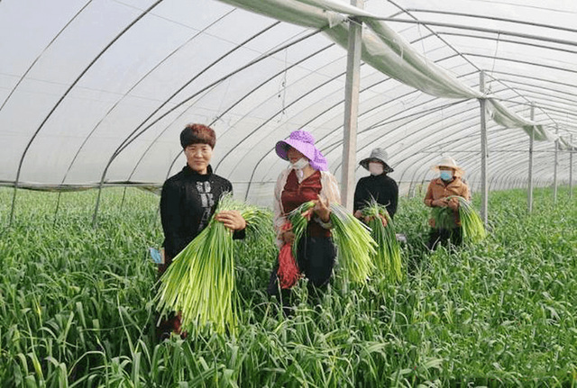 71759c69f1c4ffe615866d231b8e9d23.png 71759c69f1c4ffe615866d231b8e9d23.png