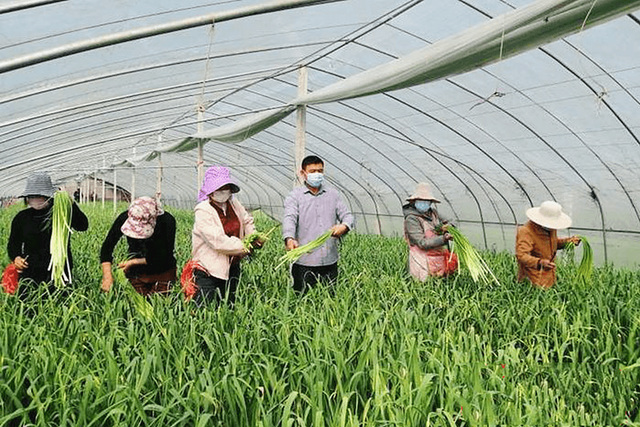 b42e033e083506de4e7a4ea384d7fff6.png b42e033e083506de4e7a4ea384d7fff6.png