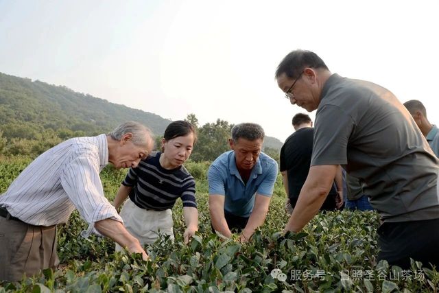 微信图片_20250722204909.jpg 微信图片_20250722204909.jpg