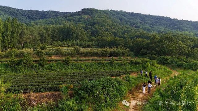 微信图片_20250722204918.jpg 微信图片_20250722204918.jpg