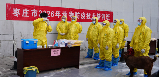信息:全市动物防疫技术培训班在薛城成功举办632.png 信息:全市动物防疫技术培训班在薛城成功举办632.png