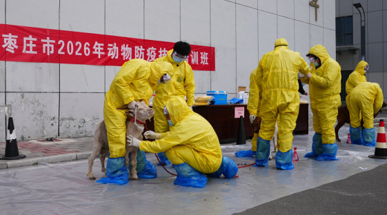 信息:全市动物防疫技术培训班在薛城成功举办752.png 信息:全市动物防疫技术培训班在薛城成功举办752.png