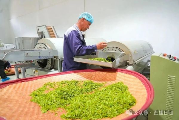 67979776.jpg 67979776.jpg