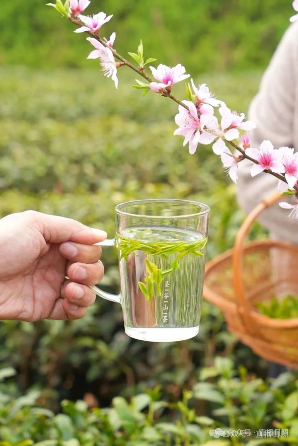 67878899.jpg 67878899.jpg