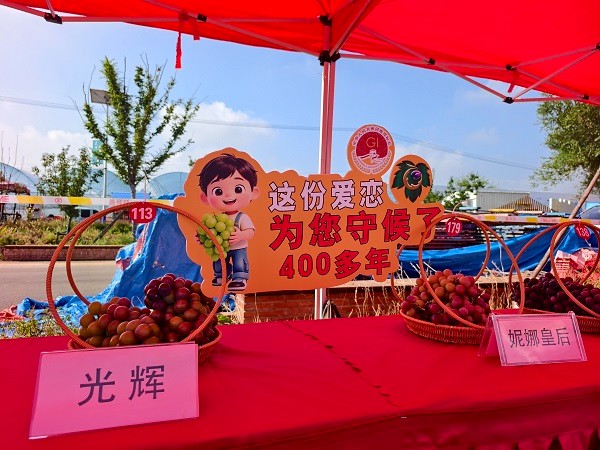 微信图片_20260829090950_90_1112.jpg 微信图片_20260829090950_90_1112.jpg